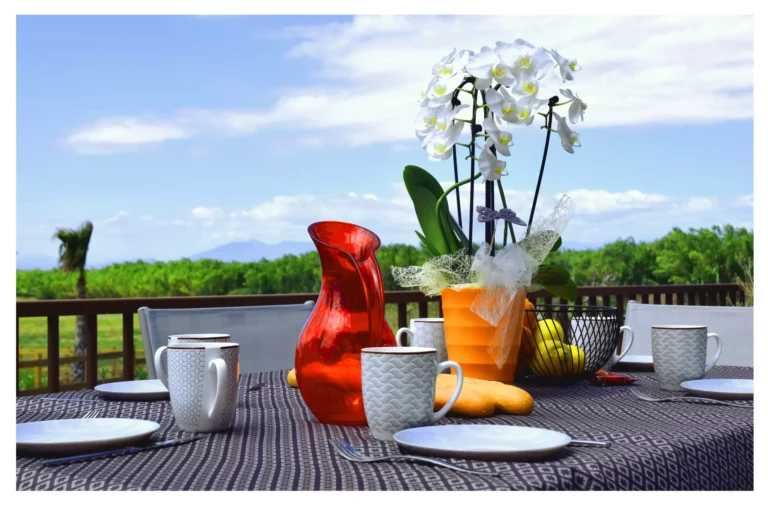 desayuno alquiler vacacional Palau savedera